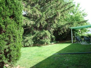 462-niagara-very-private-backyard.jpg