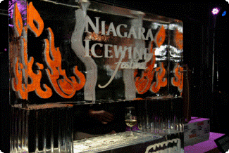 2009 Niagara Icewine Festival … When Gold Meets Cold